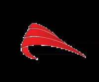 Apex Bangladesh logo